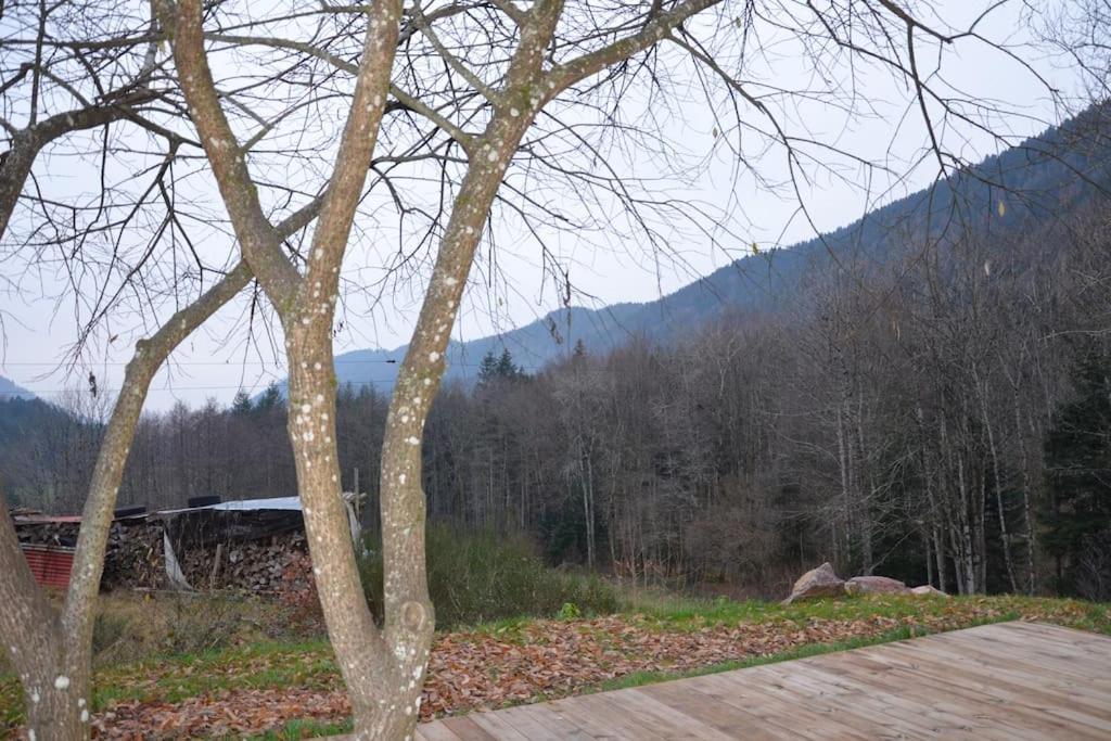 A La Cheneau Villa Rochesson Екстериор снимка